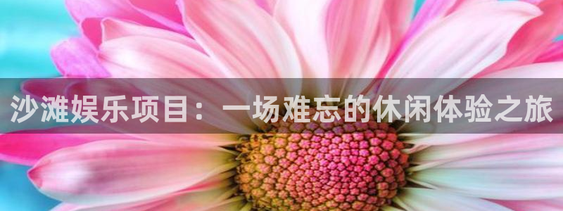 天富平台4平台注册：沙滩娱乐项目：一场难忘的休闲体验之旅