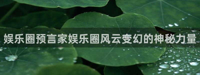 天富平台网页版：娱乐圈预言家娱乐圈风云变幻的神秘力量