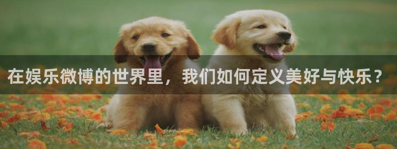 天富平台：在娱乐微博的世界里，我们如何定义美好与快乐？