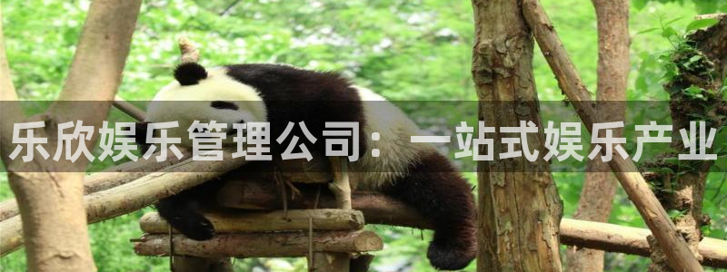 天富平台登录注册：乐欣娱乐管理公司：一站式娱乐产业