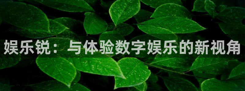 天富平台平台官网登录入口：娱乐锐：与体验数字娱乐的新视角