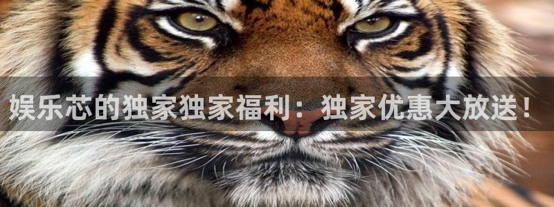 天富平台是赌博吗：娱乐芯的独家独家福利：独家优惠大放送！
