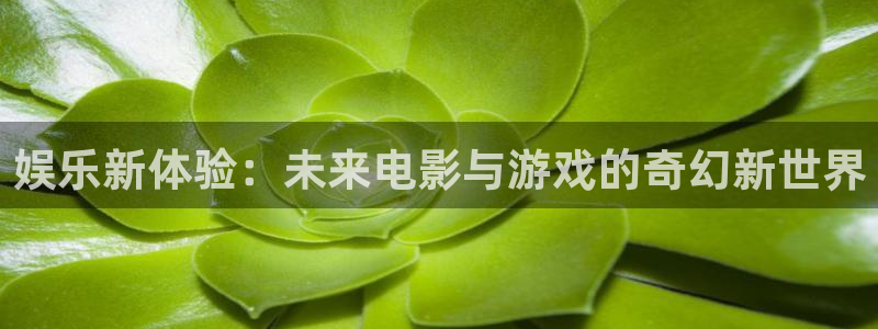 天富平台3：娱乐新体验：未来电影与游戏的奇幻新世界
