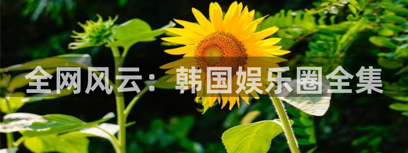 天富平台3注册：全网风云：韩国娱乐圈全集