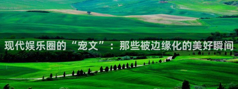 天富平台3官网登录：现代娱乐圈的“宠文”：那些被边缘化的美好瞬间
