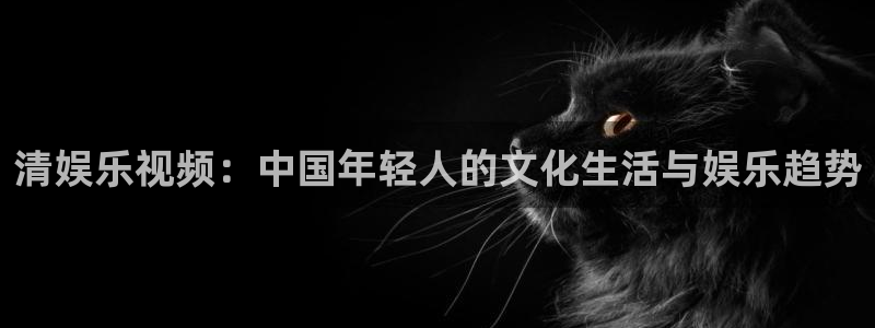 天富平台体育代理：清娱乐视频：中国年轻人的文化生活与娱乐趋势
