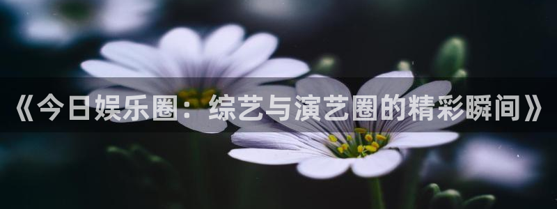 天富平台登录：《今日娱乐圈：综艺与演艺圈的精彩瞬间》