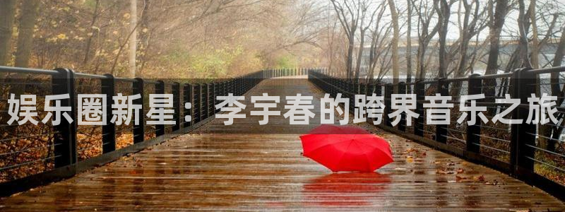 天富平台5招商：娱乐圈新星：李宇春的跨界音乐之旅