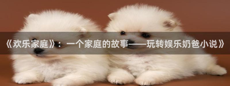 天富平台体育凯捷平台主管：《欢乐家庭》：一个家庭的故事——玩转娱乐奶爸小说》