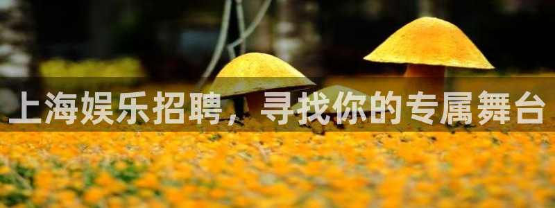 天富平台体育凯捷平台代理：上海娱乐招聘，寻找你的专属舞台